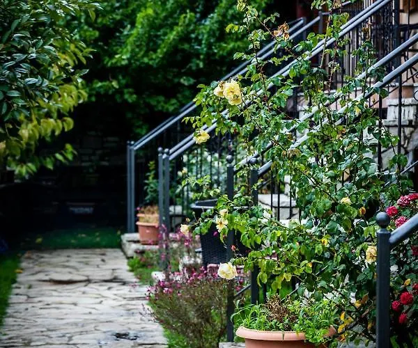 έναστρον * Καλάβρυτα