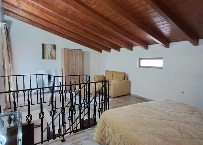 Ξενοδοχείο έναστρον *